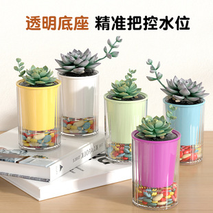 ���W���s��ɫ�A�Α�������ˮ����²��������L������ֲ�����ϻ���