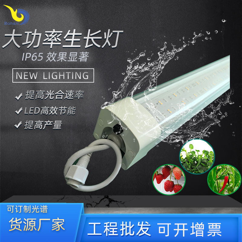 Smart LED plant lamp solar-powered