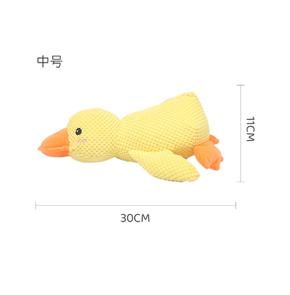 중간 동반자 오리