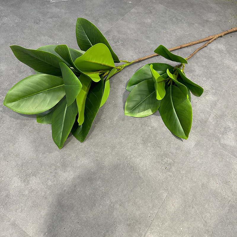 Realistic Magnolia Display