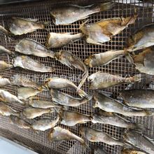 �����ʹ�С�S�~��əC�O�� ˮ�a���aƷ�͜ظ���C�O��Óˮ�����