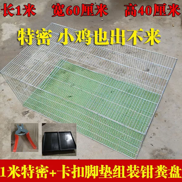 100*60*40 Special -Illfish Put Pingzi Dicculet