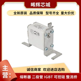 普通晶闸管;IGBT模块;其他二极管
