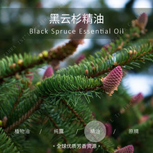 ���ô� |  �M�� �ЙC ���ɼ�η�����    ���l