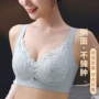 四季聚拢薄款大码文胸