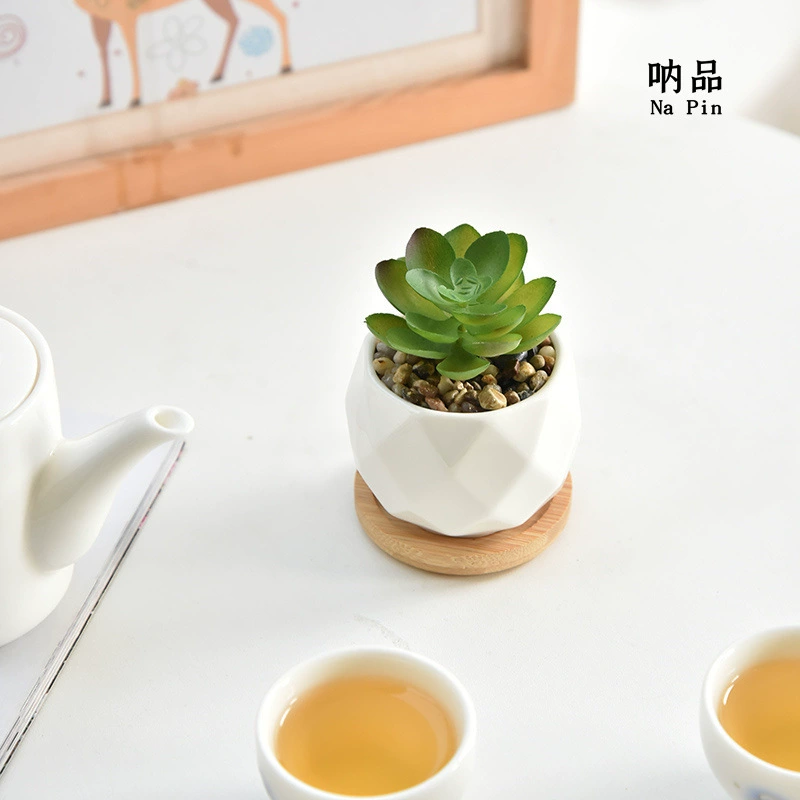 Внешняя торговля Экспорт керамический мясистый цветочный горшок белый фарфор Алмазный цветочный горшок оптом мясистый цветочный горшок