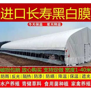 Imported thickened greenhouse film longevity breeding black and white film sunscreen green and white film anti-aging heat insulation reflective impermeable film