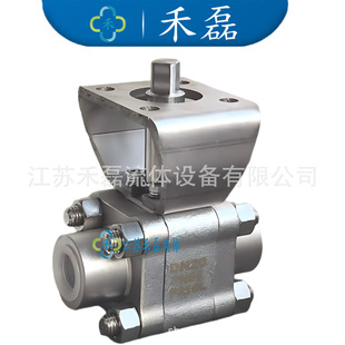 F316L�в庸�����y600����3/4&ldquo;1/2��FNPT�ݼy��֧�ܸ߉�64PN100