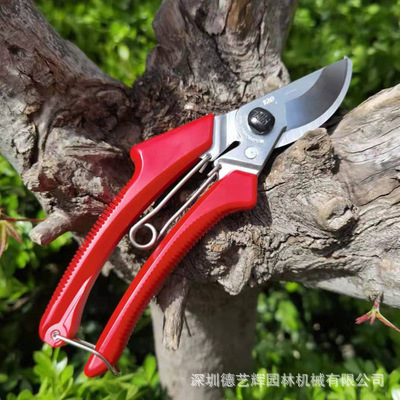 爱丽斯120DX ARS原装进口日本修枝剪剪枝剪园林果树花艺修枝剪刀