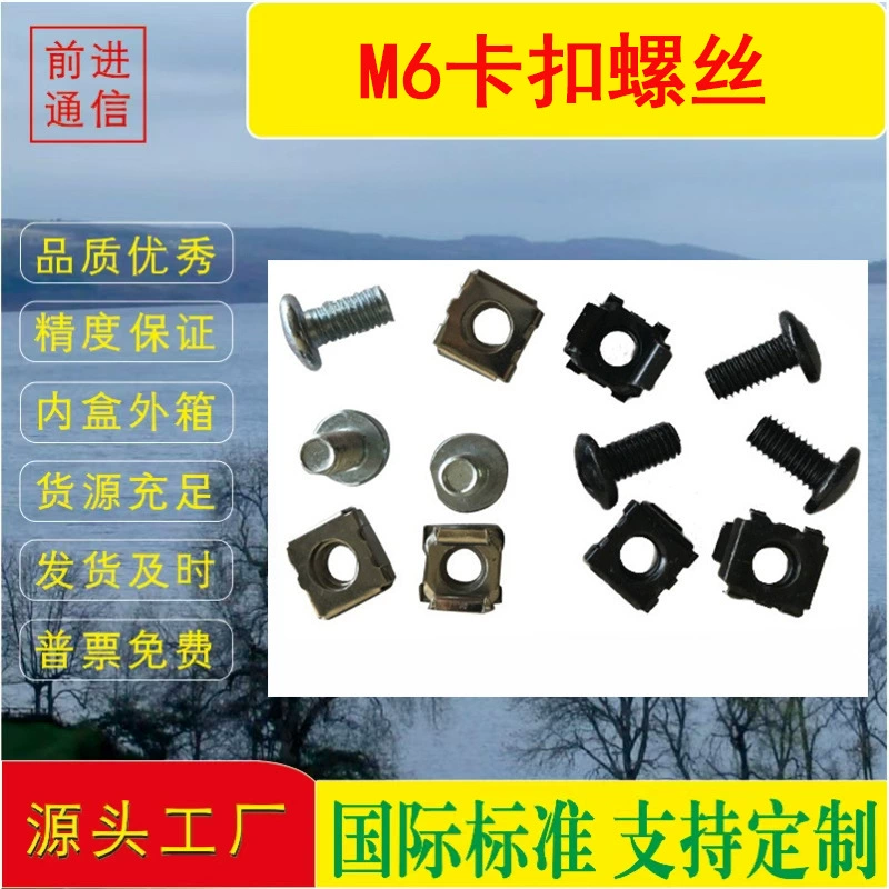 Винт шкафа Крепежный сетевой сервер M6 Крепежный винт шкафа + гайка с пряжкой