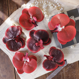 3D�zƬ�����m���^���滨 �^l�A��c�b������ֹ�DIY����ٻ�