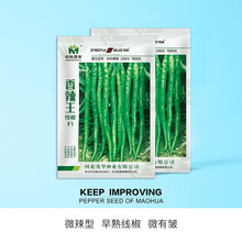 �п�ï�A�߲˷N�Ӿ����N���������l���N�������N��������������