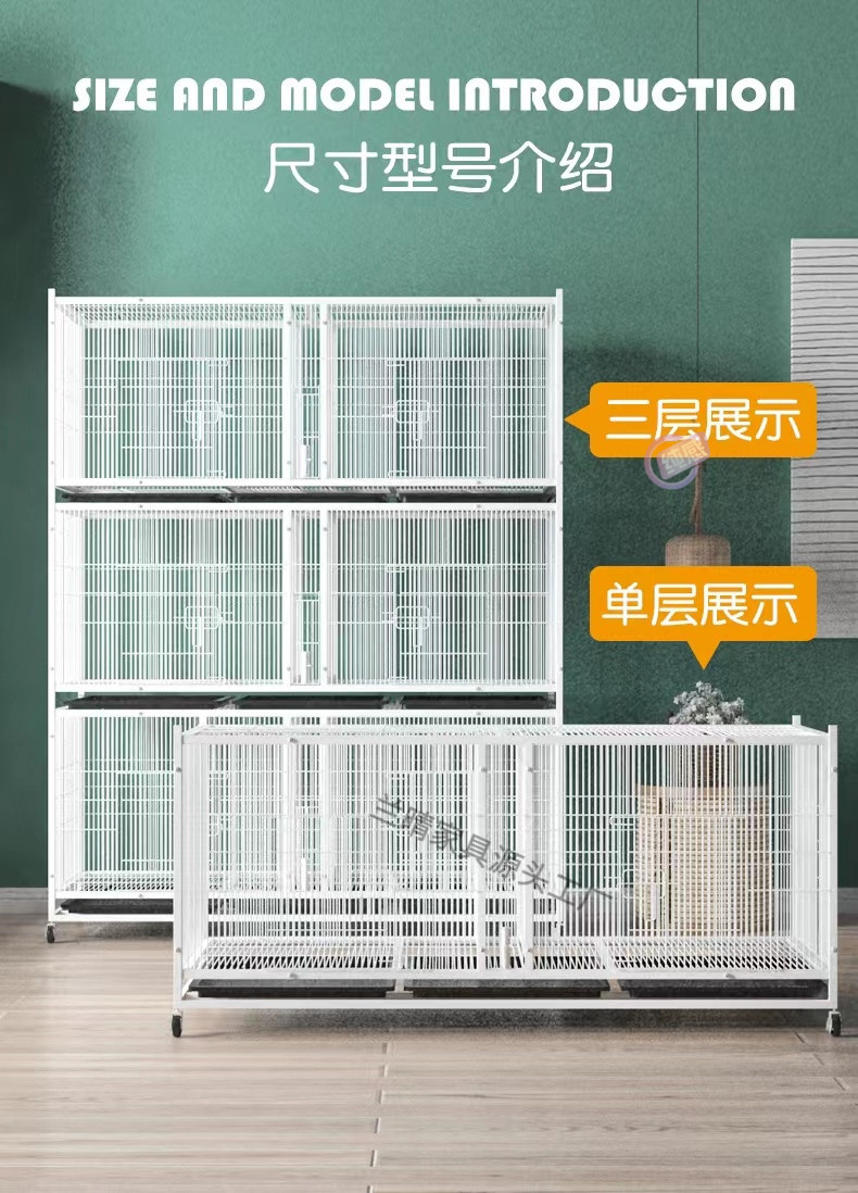 3d53bac2-7465-41c5-955a-41d34244266f.jpe