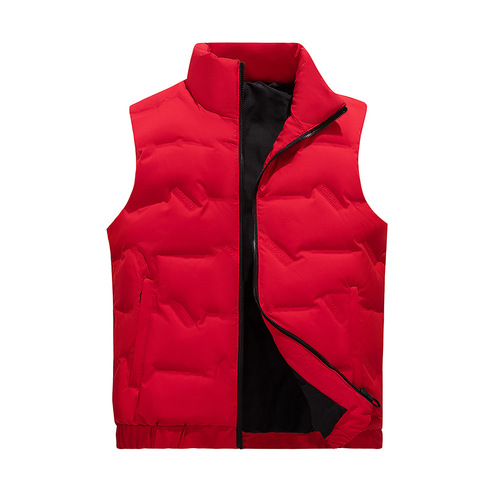 Men's  New Down Vest, Stand-up Collar, White Goose Down, Trendy Warm Leisure Jacket for Autumn and Winter