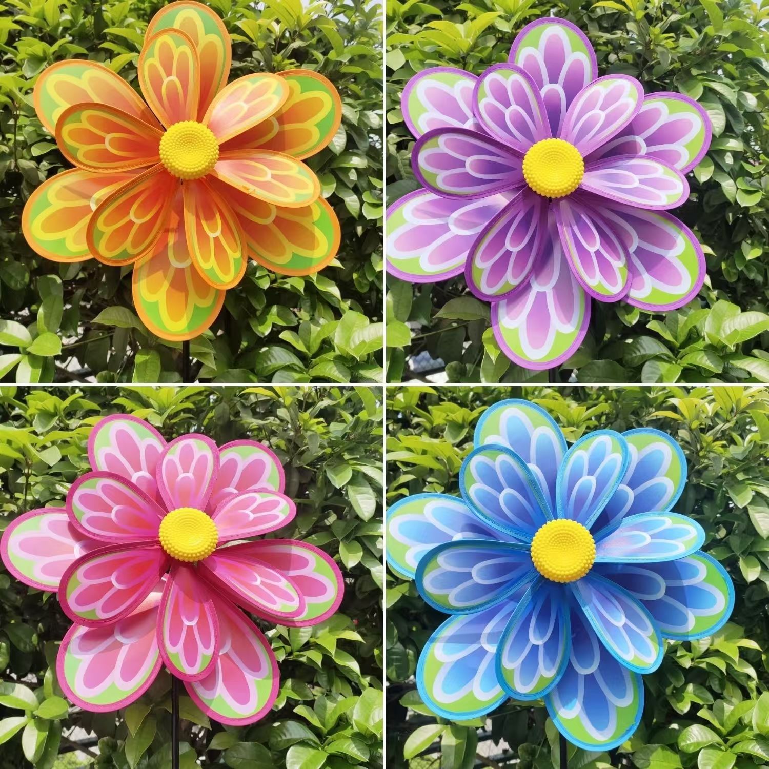 微信图片_20240923215055