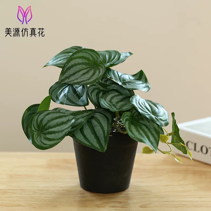 New hanging green plant bonsai manufacturer Plant bonsai Creative Room indoor small ornaments Amazon green plant