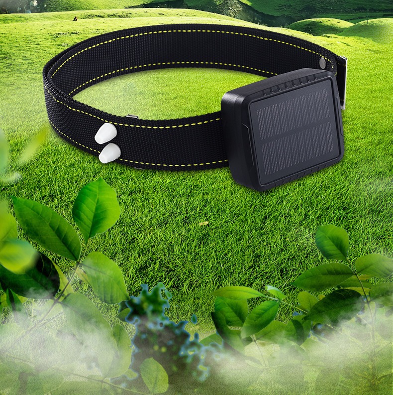 Pet Dog Solar-Powered 5g Beidou Satellite Anti-Lost Device with Collar Tracker Pet Locator Gps