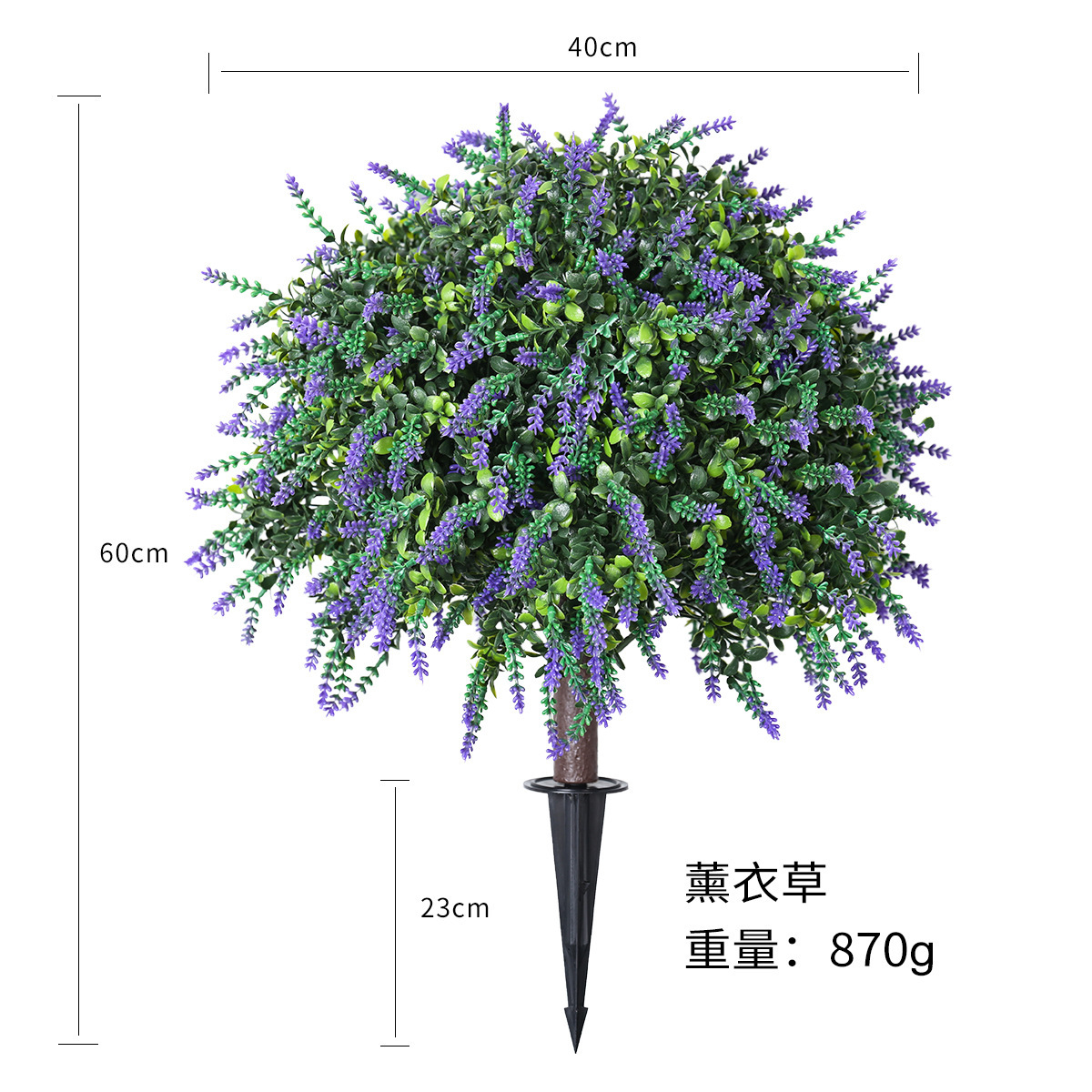 Lavanda púrpura (intercalada en el suelo)