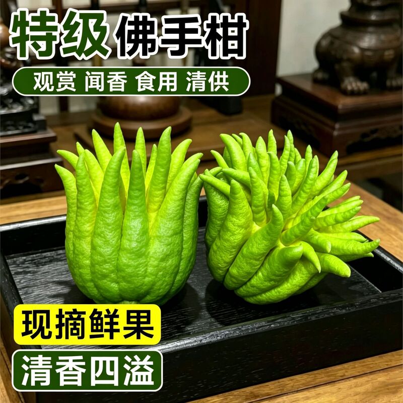 Yunnan's New Product: Fresh Bergamot Fruit, Natural Aromatherapy, Fragrance for Worship, Ornamental Display, Indoor Potted Citron, Bergamot Fruit Yunnan's New Product: Fresh Bergamot Fruit, Natural Aromatherapy, Fragrance for Worship, Ornamental Display, Indoor Potted Citron, Bergamot Fruit