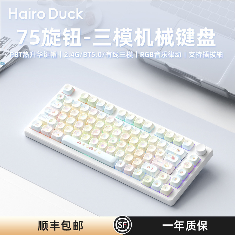 Ruiyi F75Pro Wireless Mechanical Keyboard Three-Mode Bluetooth Gaming Office E-Sports 75% Keyboard with Rgb Hot-Swappable Keyboard Ruiyi F75Pro Wireless Mechanical Keyboard Three-Mode Bluetooth Gaming Office E-Sports 75% Keyboard with Rgb Hot-Swappable Keyboard