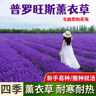 {ɫ޹²ݷN_˹޹²ݾG쾰ͥԺ̨^ܷN