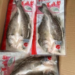 ���|�~���~���r����_�����ư��Ʒ�Ƶ�ʳ��500��/�l20�������