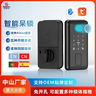 Cross-Border American Graffiti Deadbolt Fully Automatic Smart Lock Universal Lock Office Entry Password Lock Electronic Lock