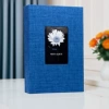 Blue chrysanthemum