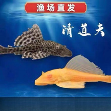 ������坍�~������������Ů�����^�p�~���~�S�������������~