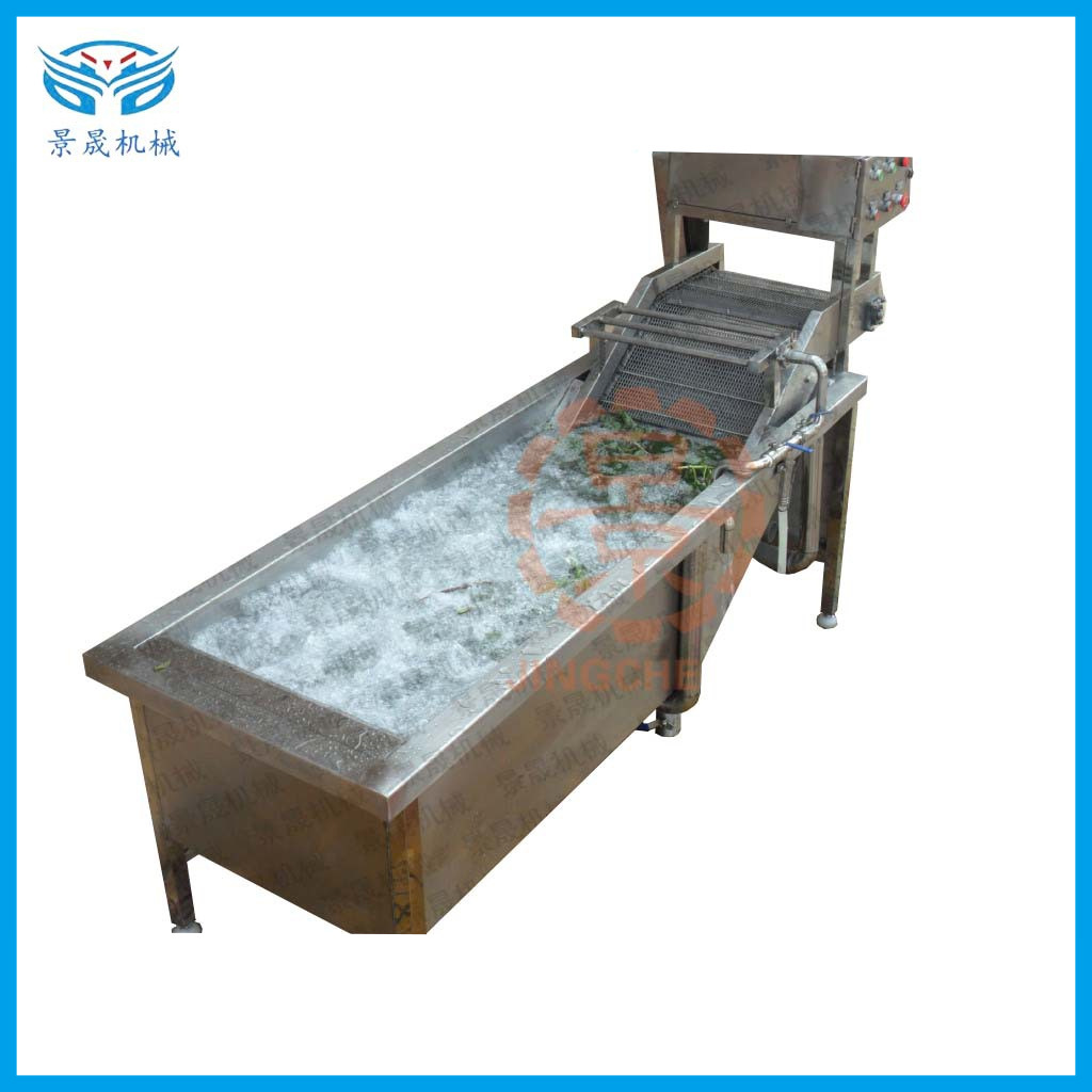 定金 果蔬清洗机双槽气泡清洗机薯叶、 叶菜清洗机工厂批发