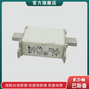 170M1569D 170M1570D 170M1571D 170M1572D bussmann Fast Fuse