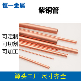 Դ�^���Sֱ�N���~�� T2/T3���|���x �߾��ȟo�p���� ���{�����~��