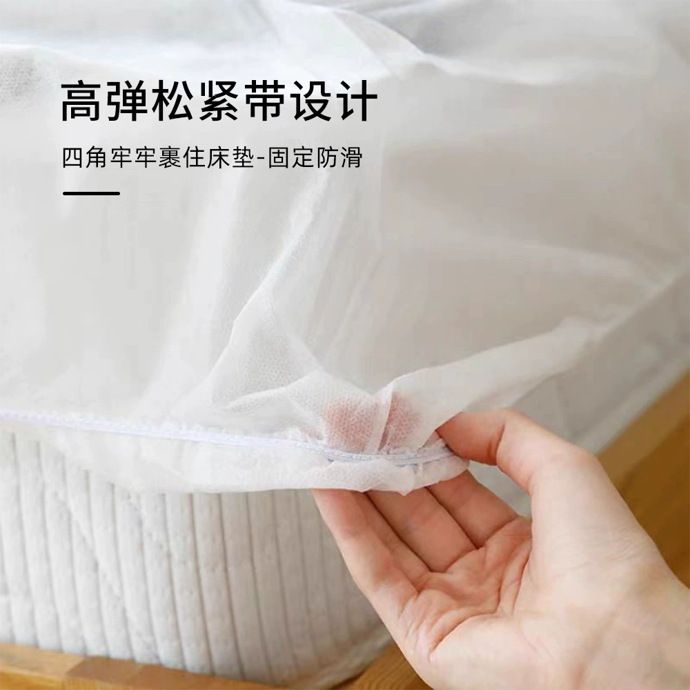 Sheet