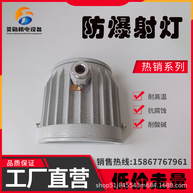 304不锈钢法兰视镜防爆灯LED射灯罐体内观察灯反应炉内视灯30W24V