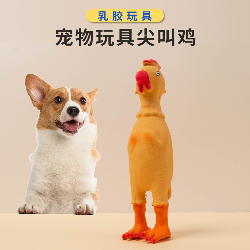 亚马逊爆款乳胶发声玩具围巾鸡 中大型狗狗耐咬宠物玩具黄鸡批发