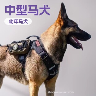 �������ͱ����r����Ȯ�����RȮ܊��Ȯ�Ѿ�Ȯ�o�lȮ����Ȯ���w����