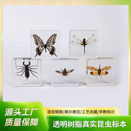 树脂工艺品;标本;钥匙扣及钥匙扣配件