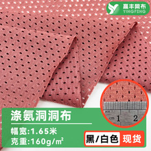 氨纶洞洞布超弹网眼布运动泳衣背巾小眼洞布面料涤氨弹力网布