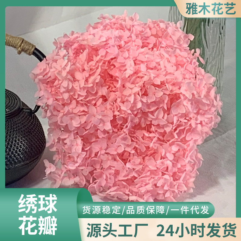 Yunnan dried flower hydrangea petals DIY flower materials wedding bouquet picture frame preserved flower unicorn romantic natural flowers
