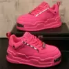 Dragon fruit color standard model_38