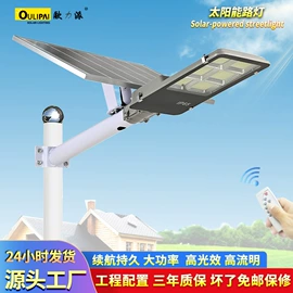 太阳能灯;庭院灯;路灯