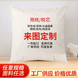 工厂供应抱枕logo定制可印图片文字床头靠垫沙发靠枕双面汽车抱枕