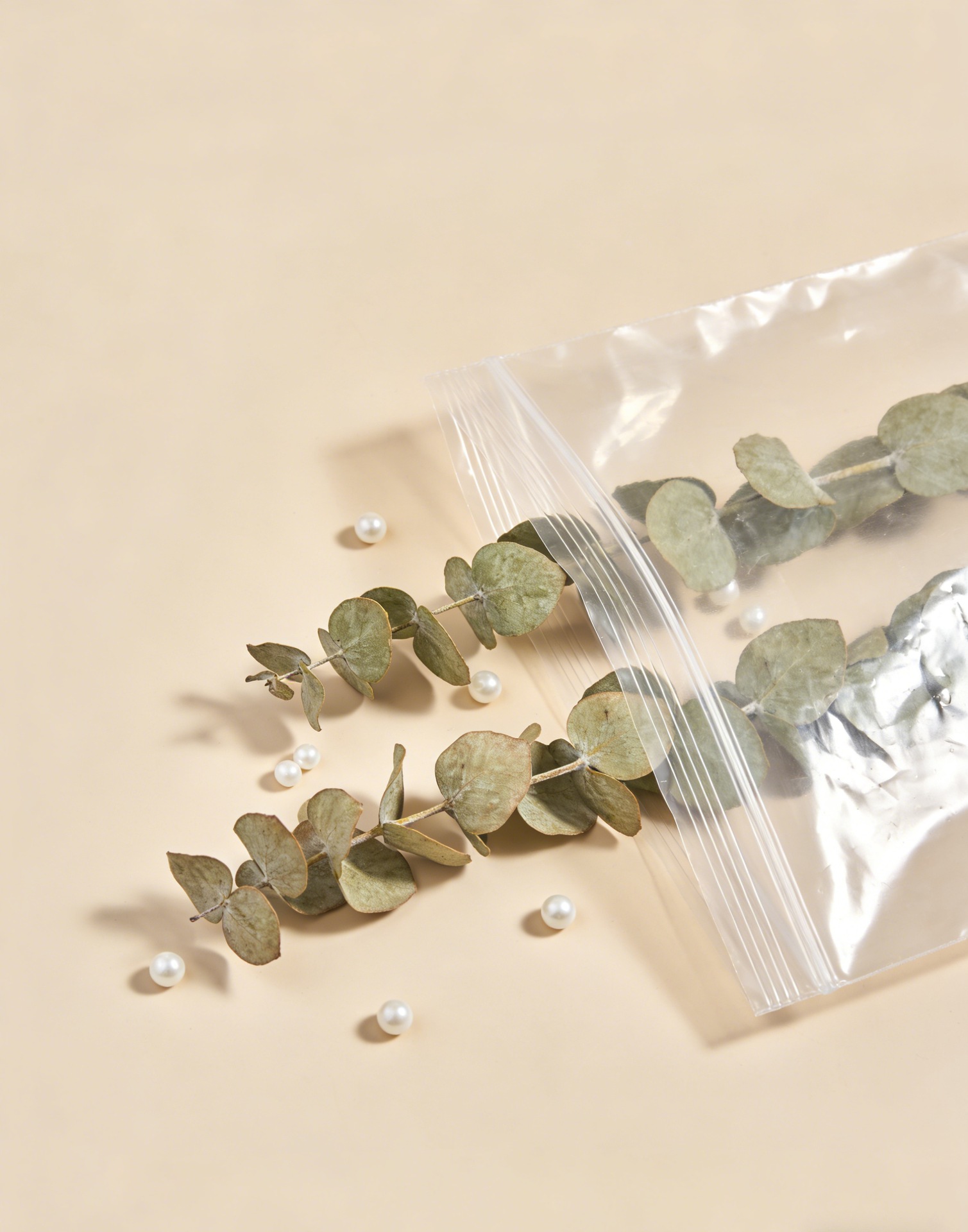 豆包 (3)_副本