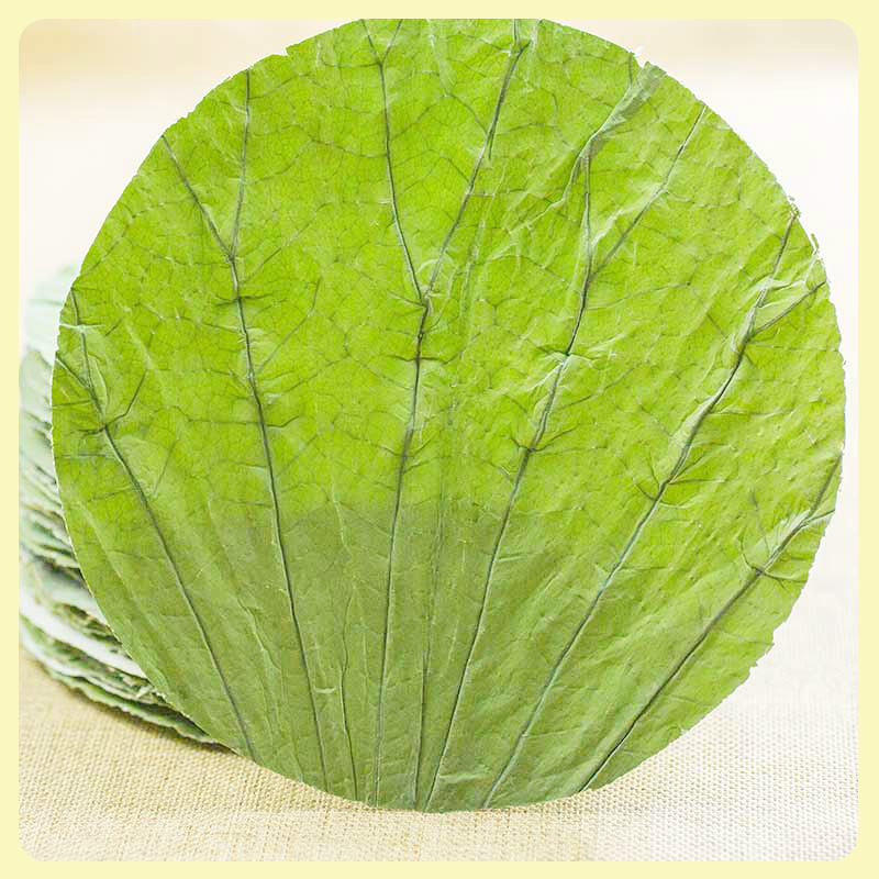微山湖整张干荷叶切片圆形20cm木桶饭糯米饭荷叶茶蒸笼垫底100张