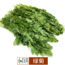 �G��ˮ�ݻ��w���l�~���쾰��ˮ���b�ˮ�����^�p�󾰲����o�ɢ�b