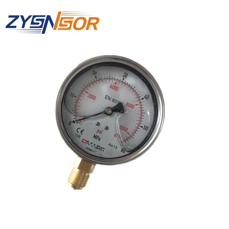 德国DMASS压力表  MBB10B-600-1-ZZZ   M100表径 径向