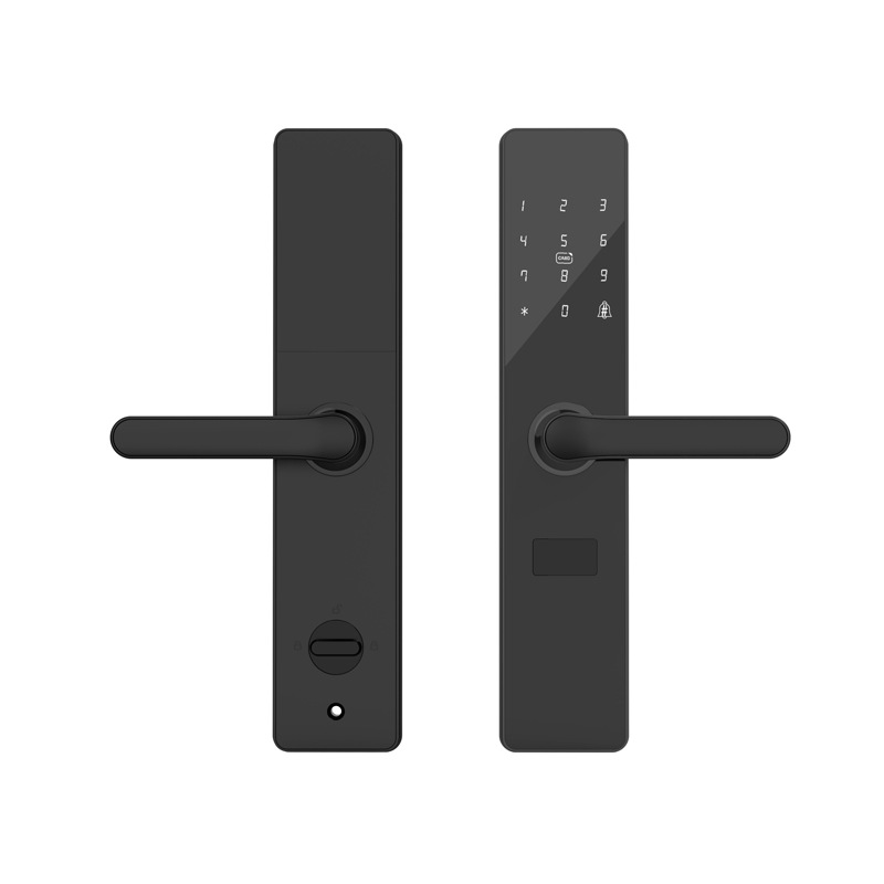 Cerradura Tongtong Hotel Apartment B & B Gestión remota Cerradura inteligente Puerta antirrobo Cerradura de contraseña de huellas dactilares Cerradura electrónica Bluetooth IC