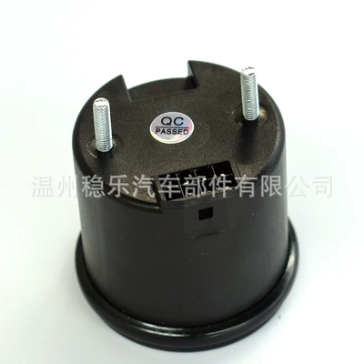 Indicator, automobile instrument