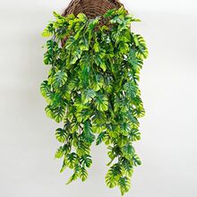 ����ڒ첨˹���ٗl�Gֲ�����ڒ컨ˇ�Ғ�ާ�ֲ�������b�ֲ�