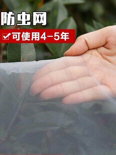 �Ӻ���x�W���������WΛ�ƾW���Bֳ��������Ҵ����Bֳ�߾W